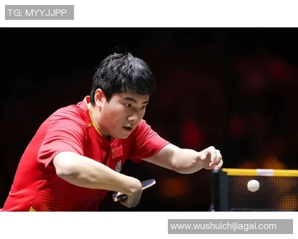 杭州乒乓球队在世界杯中的精彩表现与状态分析